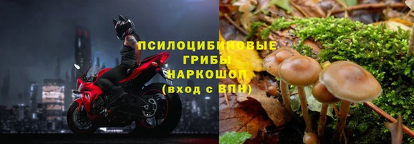 прущая мука Козловка