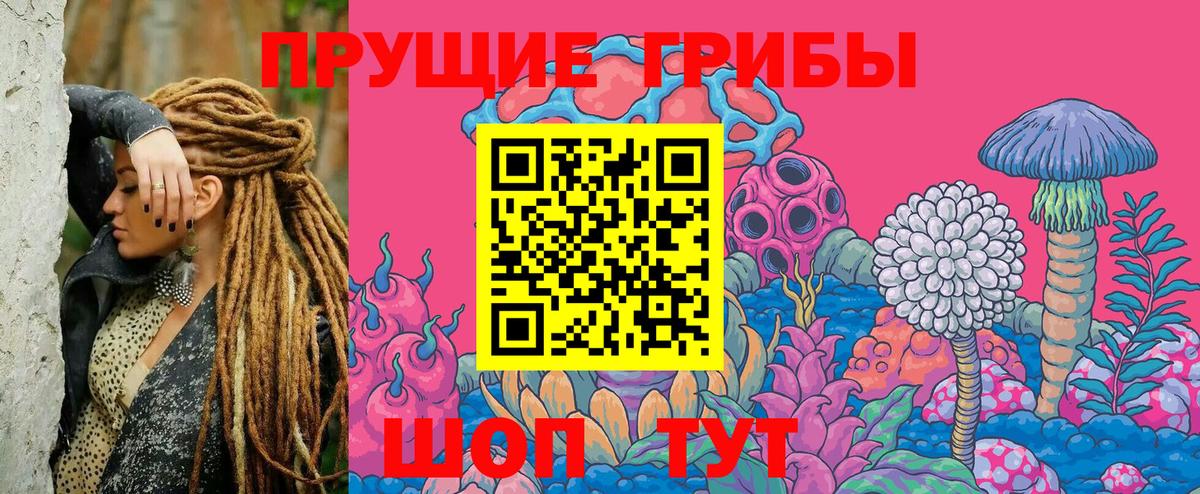 Галлюциногенные грибы прущие грибы  что такое   Клин 