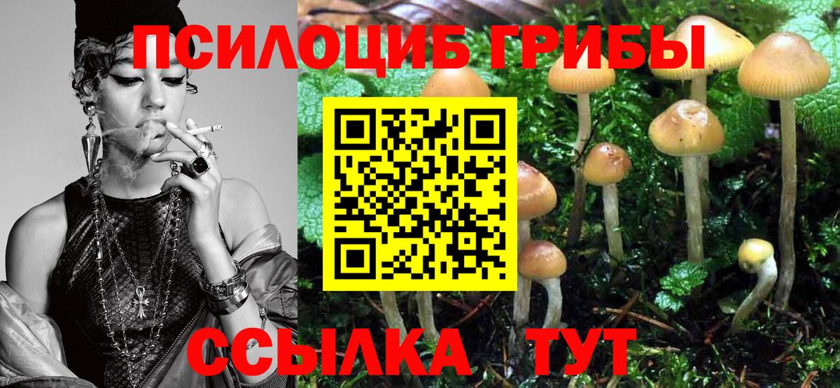 Псилоцибиновые грибы Magic Shrooms Клин