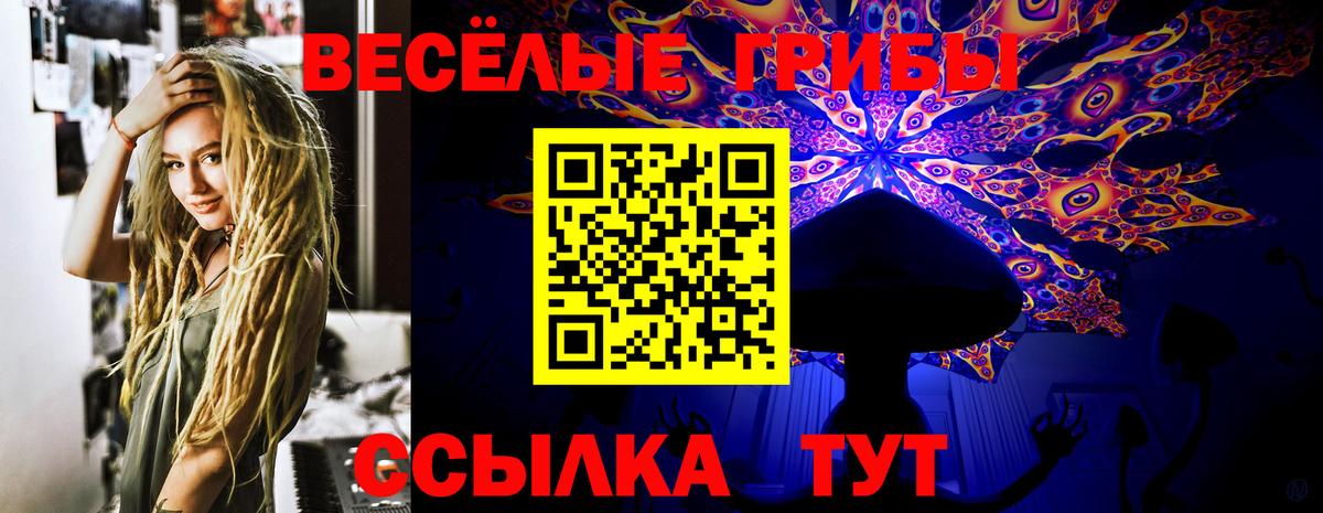 Галлюциногенные грибы прущие грибы  Вход с VPN  Клин 